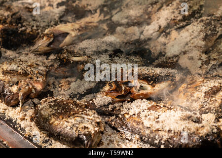 In der Nähe von Salz verkrustet Tilapia Fisch auf dem Grill zubereitet. Stockfoto