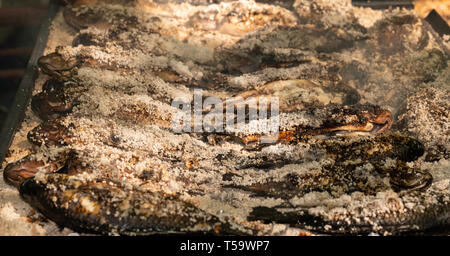 In der Nähe von Salz verkrustet Tilapia Fisch auf dem Grill zubereitet. Stockfoto