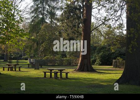 Picknick Tische und Bänke im Park Stockfoto