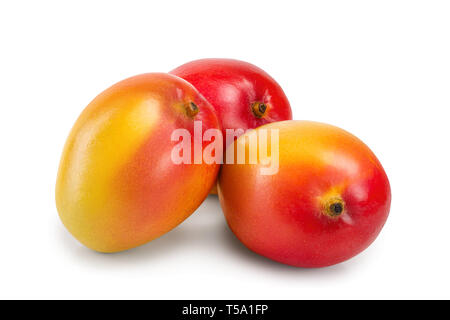 Mango Obst auf weißem Hintergrund schließen isoliert - oben Stockfoto
