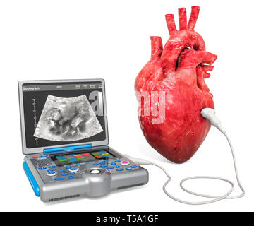 Herzultraschall Konzept. Das menschliche Herz mit medizinischen Ultraschall Diagnose Maschine, 3D-Rendering auf weißem Hintergrund Stockfoto