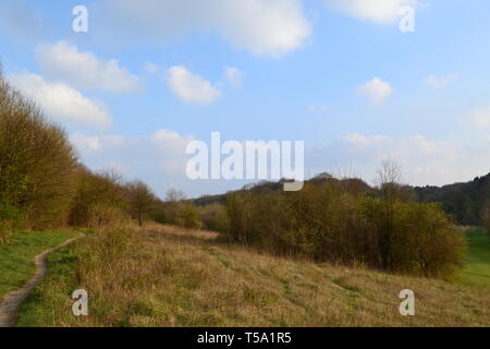 Ausblick auf den ruhigen Landschaft Felder, Wälder und cumulus Wolken in der Nähe von Das Downe, Kent, England, im Frühjahr, auf der Suche nach Süden in Richtung Biggin Hill und Westerham. Stockfoto