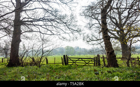 Ackerland in der Nähe von Shifnal, Shropshire, Großbritannien Stockfoto