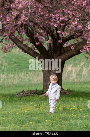 Little Boy in Ostern Anzug Stockfoto