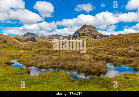 Landschaft Foto von den Sümpfen und Lagunen in den Anden im Cajas Nationalpark in der Nähe von Cuenca, Ecuador. Stockfoto