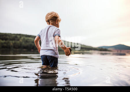 Eine nasse, glückliche kleine Kleinkind junge Wandern im Freien in einem Fluss im Sommer spielen. Stockfoto