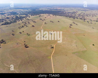 Dirt Road in New South Wales, Australien Stockfoto