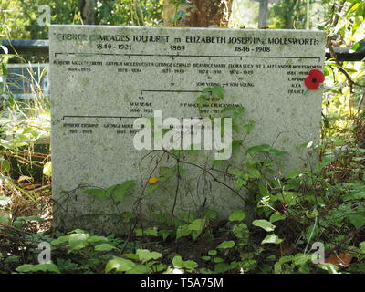 Ungewöhnliche Grabstein mit einem Stammbaum Diagramm, in den großen und alten Friedhof Karori, Wellington, NZ Stockfoto