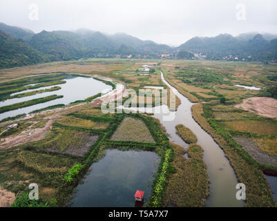 Blick von oben auf die Feuchtgebiete der Insel Cat Ba in der Nähe vom Meer an Land. Morgen düsteren Landschaft der Landschaft von Vietnam. Stockfoto