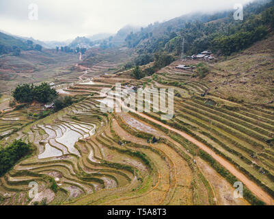 Reisfelder auf terrassierten Mountain Farm Landschaften in der Provinz Lao Cai, Sapa Vietnam, Nordwesten Vietnams. Natürliche reisen Hintergrund. Stockfoto