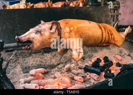 Ein Schwein gegrillt traditionelle Kohle und Feuer. Das kleine Schweinchen ist gebratene ganze auf einem offenen Feuer. Schwein am Spieß Stockfoto