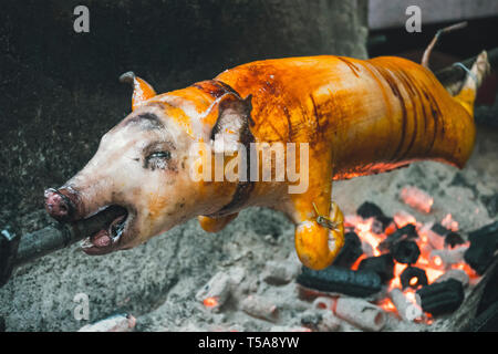 Schlechte Spanferkel vom Grill auf Feuer. Ein Schwein gegrillt traditionelle Kohle und Feuer. Schwein am Spieß Stockfoto