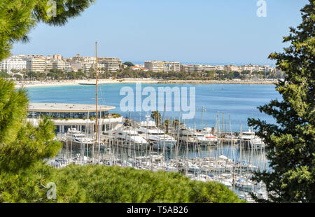 CANNES, Frankreich - April 2019: Blick auf den Yachthafen von Cannes mit der Bucht im Hintergrund. Stockfoto