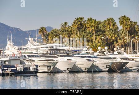 CANNES, Frankreich - April 2019: Superyachten im Hafen von Cannes vor Anker, mit Palmen im Hintergrund. Stockfoto