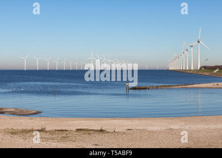 Blick auf off shore Wind Turbine farm vom Strand Urk Stockfoto