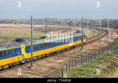 Niederländische Bahn durch den National Park Oostvaardersplassen in der Nähe von Almere und Lelystad Stockfoto