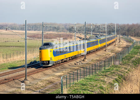 Niederländische Bahn durch den National Park Oostvaardersplassen in der Nähe von Almere und Lelystad Stockfoto