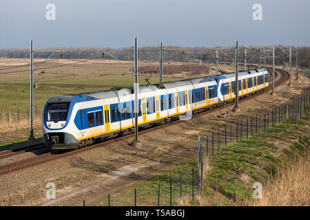 Niederländische Bahn durch den National Park Oostvaardersplassen in der Nähe von Almere und Lelystad Stockfoto