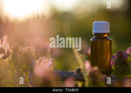 Natürliche Heilmittel, Aromatherapie - bach Therapie. Frische Kräuter - Natürliche Heilmittel. Stockfoto