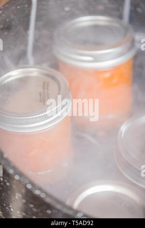 Gläser mit Aprikosenmarmelade ruht auf einem 'Scanner-Rack im siedenden Wasser canner. Canner Racks vereinfachen die Konservenindustrie Prozess, indem Sie helfen, sicher einer Last von Stockfoto