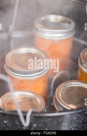 Gläser mit Aprikosenmarmelade ruht auf einem 'Scanner-Rack im siedenden Wasser canner. Canner Racks vereinfachen die Konservenindustrie Prozess, indem Sie helfen, sicher einer Last von Stockfoto