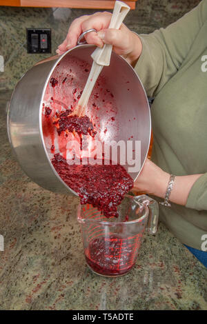 Frau gießen püriert Brombeeren in einen Messbecher in der Vorbereitung für die Herstellung von Marmelade. (MR) Stockfoto