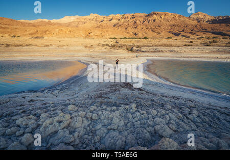 Große halit Ablagerungen an der Küste des Toten Meeres in Jordanien Stockfoto