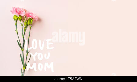 Muttertag Design Konzept - Blick von oben auf ein Bündel von Carnation mit Hand schreiben Script auf rosa Hintergrund mit Kopie Raum für Mock up Stockfoto