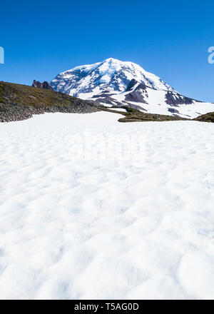 Der Spitze des Mount Rainier Höchststand bis oben Spray Park in Mount Ranier Nationalpark, Washington, USA. Stockfoto