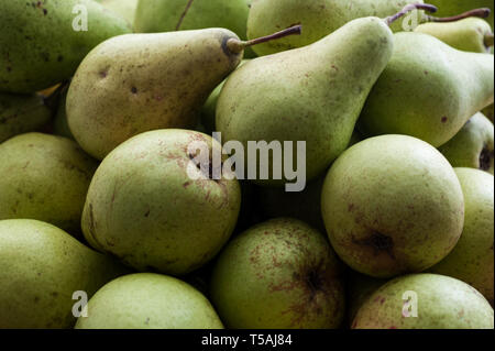 Ein Bündel von häßlichen Birnen aus dem heimischen Garten legte eine übereinander gestapelt. Close up, horizontale Ausrichtung. Stockfoto