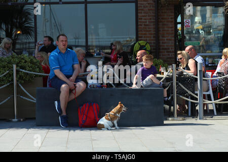 Vater, Sohn und Hund in einer Bar sitzt. Brighton, Großbritannien Stockfoto