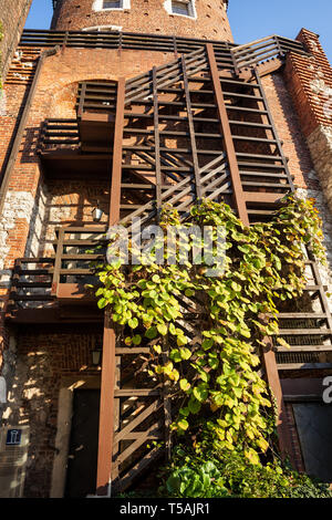 Holztreppe mit Kletterpflanzen außerhalb von sandomierska Turm, um 1460 gebaut, Teil der königlichen Festung Schloss Wawel in Krakau, Polen. Stockfoto