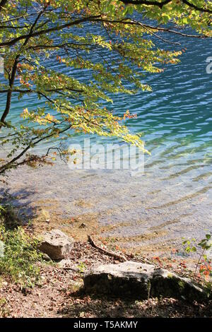 Indian summer Ändern der Wald um den Vorderer Langbathsee, Oberösterreich, Österreich, zu einem farbenprächtigen Naturschauspiel Stockfoto