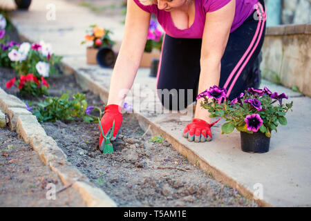 Blonde Gärtner Landwirt Frau Blumen Pflanzen im Garten Stockfoto