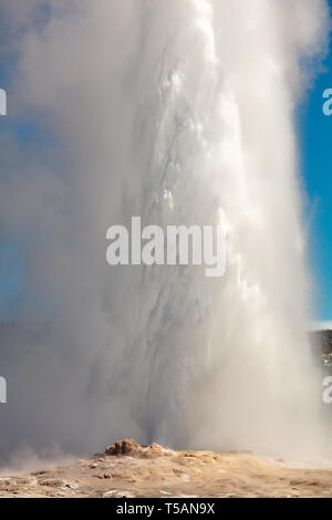 Old Faithful Geysir bricht gegen einen klaren, blauen Himmel am Eröffnungstag des Yellowstone National Park im Frühjahr Tauwetter öffnet der Park für Besucher nach einem langen Winter April 19, 2019 im Yellowstone, Wyoming. Stockfoto