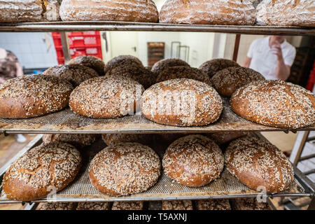 17. April 2019, Hessen, Steinau an der Straße: Pre-gebackenes Brot liegen auf einem Trolley und werden später auf dem Markt verkauft. Unter dem Motto "Backen mit Liebe und Zeit', der Fink, die Familie seit vielen Generationen im Familienbesitz, arbeitet nach alten handwerklichen Traditionen ohne industrielle Backmischungen oder tiefgekühlte Teige. Foto: Frank Rumpenhorst/dpa Stockfoto