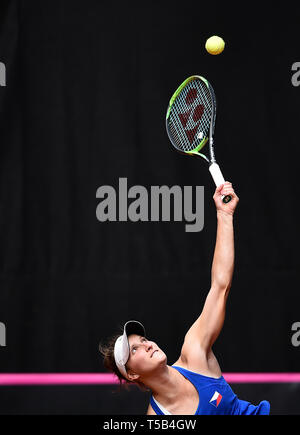 Prostejov, tschechische Republik. 21 Apr, 2019. Tschechische Tennisspieler Marketa Vondrousova spielt gegen Kanada's Rebecca Marino in Play-off-singles im Fed Cup Match zwischen der Tschechischen Republik und Kanada, in Prostejov, tschechische Republik, am 21. April 2019. Credit: Lubos Pavlicek/CTK Photo/Alamy leben Nachrichten Stockfoto