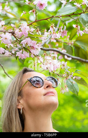 Greenwich, Großbritannien. 23. April 2019. Londoner Lizzie Cooper hält die Kirschblüte im Greenwich Park zu genießen. Die beliebte Avenue der Kirschblüte im Greenwich Park, South East London, weiterhin Besucher zu zeichnen. Rob Powell/Alamy leben Nachrichten Stockfoto