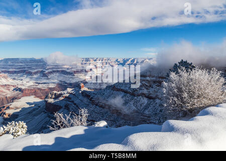 Grand Canyon am Morgen, mit Schnee bedeckt. Blauer Himmel und Wolken; Rand des South Rim im Vordergrund, mit Büschen und Schnee. Stockfoto