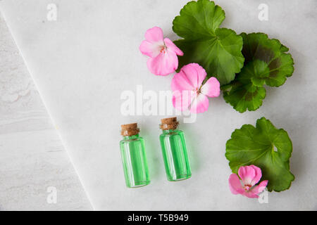 Werk in viles mit Geranium Blätter und Blüten rosa Extrahieren, Ansicht von oben Stockfoto
