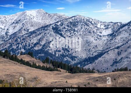 Idaho Landschaft, wo einige der Hinterkante der Schafe Festival auftreten Stockfoto