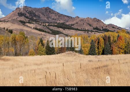 Idaho Landschaft, wo einige der Hinterkante der Schafe Festival auftreten Stockfoto