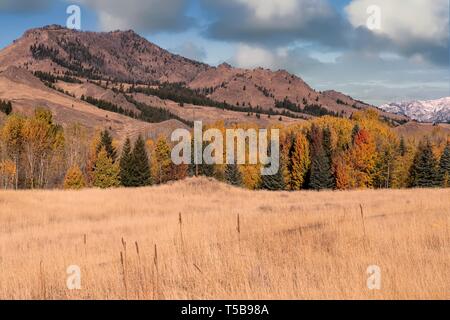 Idaho Landschaft, wo einige der Hinterkante der Schafe Festival auftreten Stockfoto