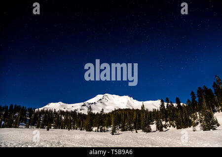 Mount Shasta von Bunny Flachbild trailhead bei Vollmond gesehen spät in der Nacht mit Stars Overhead in einer klaren dunklen Himmel. Stockfoto