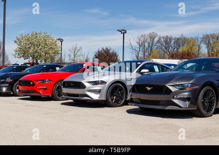 Noblesville - ca. April 2019: Mustang Anzeige an einem Ford Auto- und LKW-Händler. Ford verkauft Produkte unter dem Lincoln und Motorcraft Marken Stockfoto