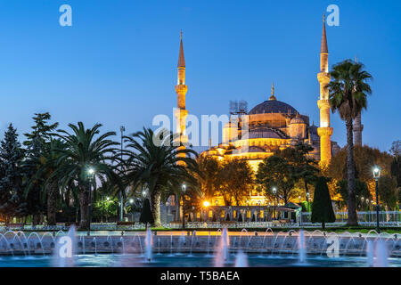 Nacht Blick auf die Blaue Moschee in Istanbul, Türkei. Stockfoto