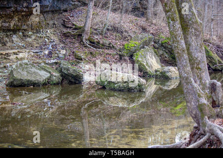 Überlegungen zu einem kleinen Fluss entlang einer Felswand in Missouri Stockfoto