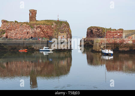 Blick auf den Hafen bei Dunbar in East Lothian, Schottland, Großbritannien Stockfoto