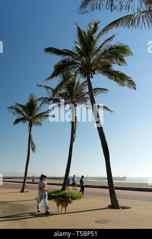 Durban, KwaZulu-Natal, Südafrika, erwachsene Frau zu Hund auf der Promenade von Golden Mile, Menschen, Landschaft, Strand