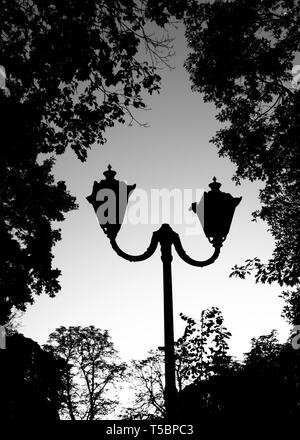 Alten stil Lamp Post aus dem 19. Jahrhundert im City Park. Schwarze und weiße Edition Stockfoto